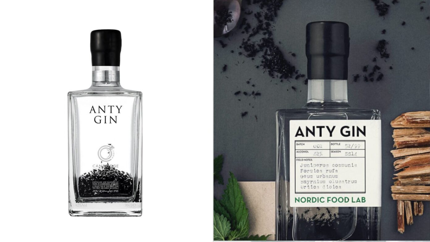 Top 8 Most Expensive Gins In The World Luxsphere