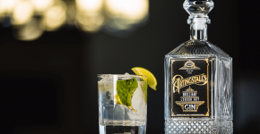 HOLLYWOOD FILM DIRECTOR PAUL FEIG LAUNCHES ARTINGSTALL’S GIN