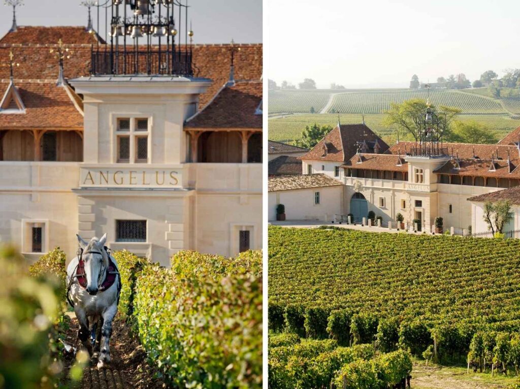 Château Angélus 1