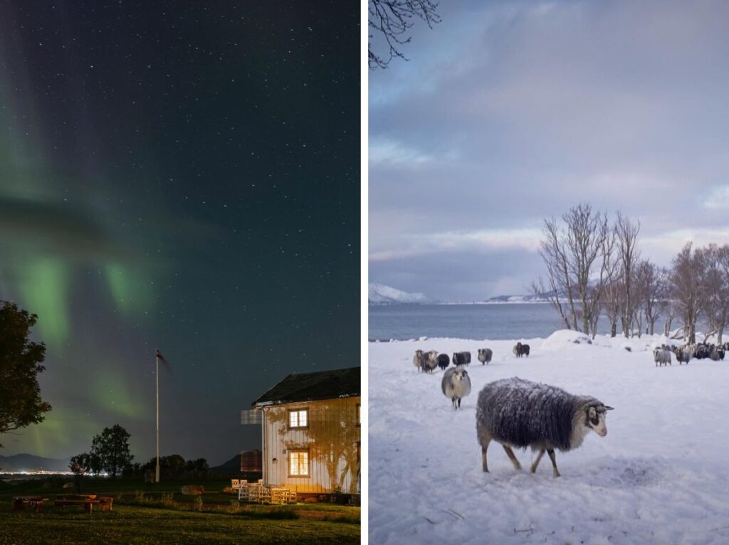 Kvitnes Gård winter