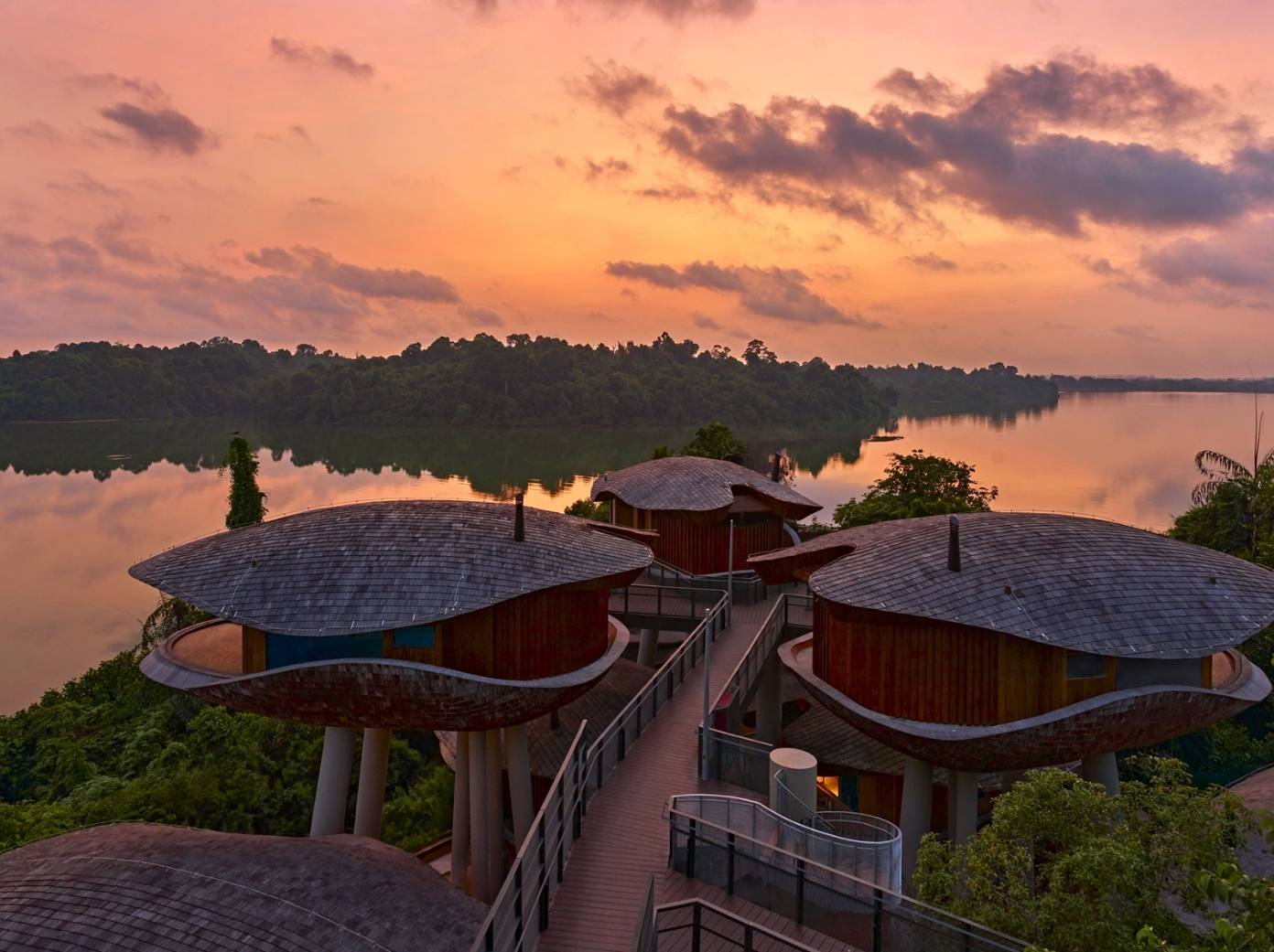 Mandai Rainforest Resort