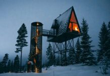 PAN Treetop Cabins: Norway’s Unforgettable Treetop Escape PAN Treetop Cabins
