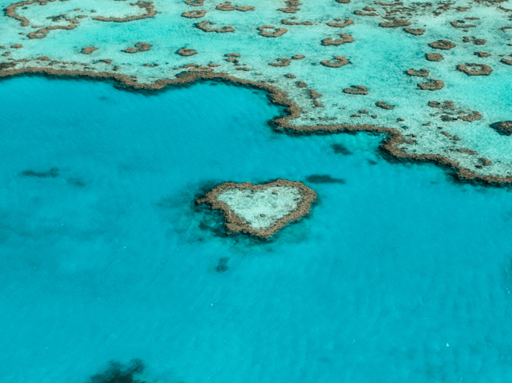 Reef Suites Underwater Suite On The Great Barrier Reef Luxsphere