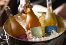 Meet the Founders Putting Sparkling Tea on the Menu at 150+ Michelin-Starred Restaurants Saicho