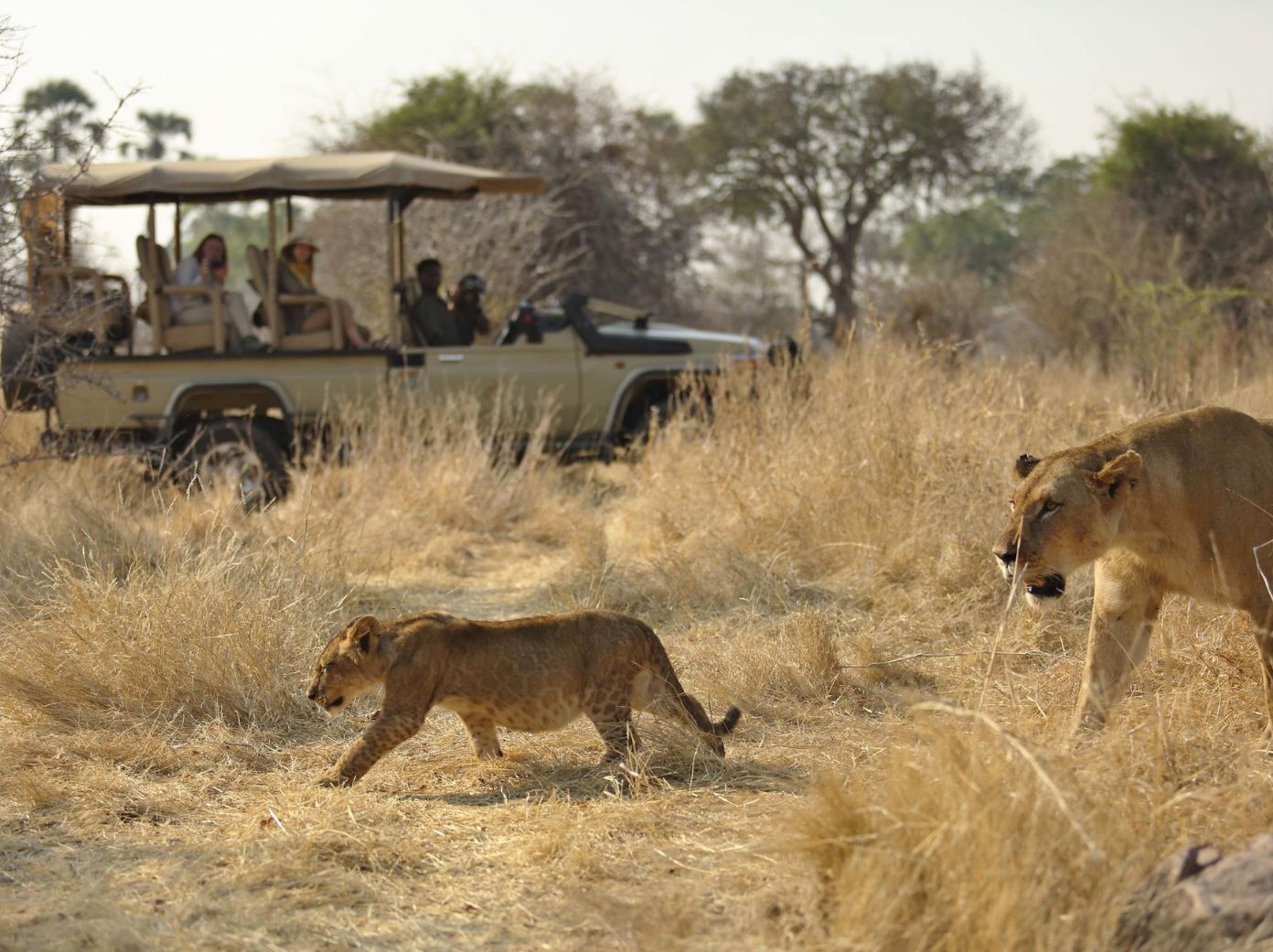 The Luxury Safari Company 