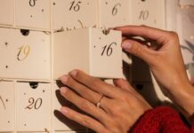The Newt in Somerset Advent Calendar