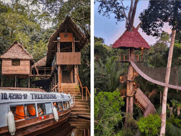 Treehouse Lodge Resort amazon