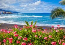Where To Stay in Tenerife