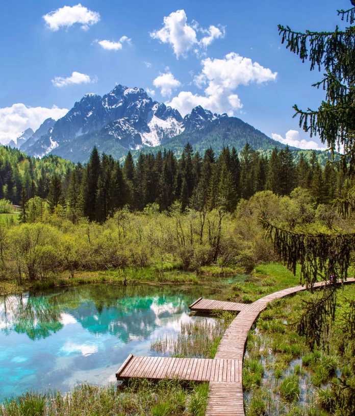 Zelenci beautiful destinations in slovenia
