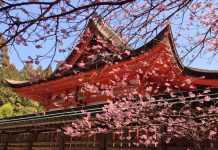 WHERE TO GO ON HOLIDAY IN MARCH holiday destinations in march