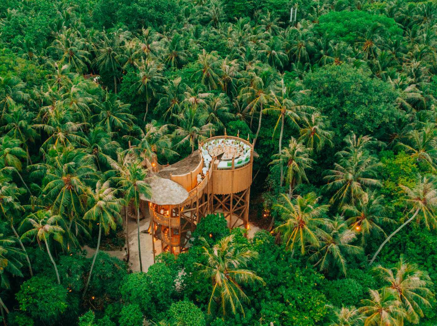 flying sauces maldives