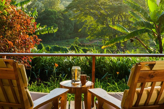 hotels on a coffee plantation gibbs farm coffee