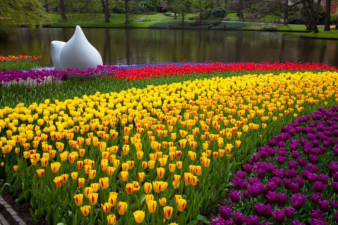 keukenhof Lisse Netherlands