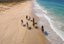 lisbon to comporta