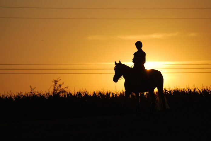 sunset horse riding malta