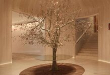Inside Tramp Health : The World’s Most Exclusive Nightclub Just Opened a Luxury Wellness Club tramp health