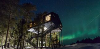watch northern lights from a treehouse